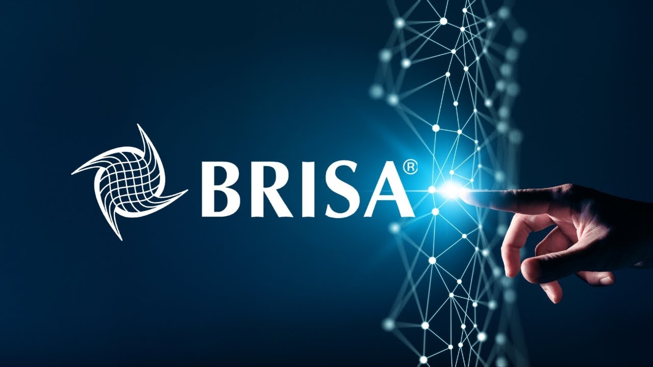 Meet Brisa
